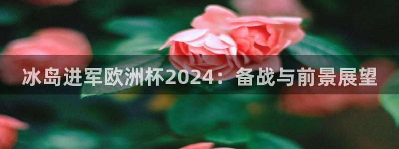 买欧洲杯的竞猜在那个app：冰岛进军欧洲杯2024：备战与前景展望