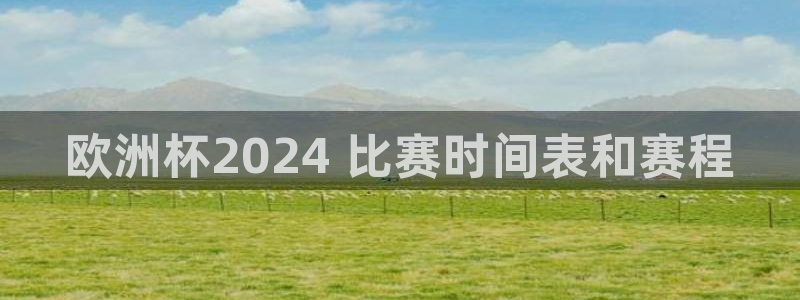 欧洲杯在哪个网站购买|欧洲杯2024 比赛时间表和赛程