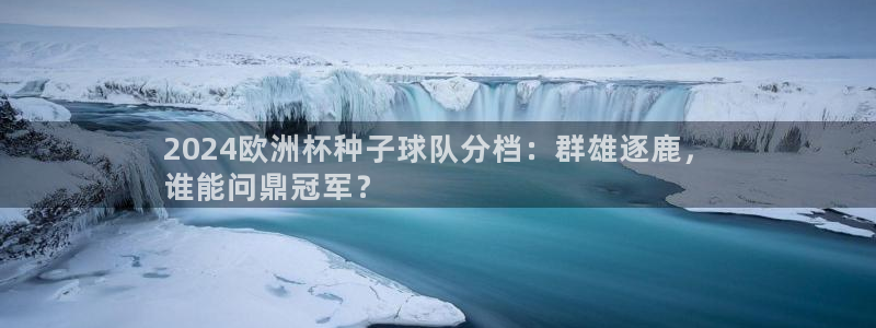 欧洲杯网站|2024欧洲杯种子球队分档：群雄逐鹿，
谁能问鼎冠军？