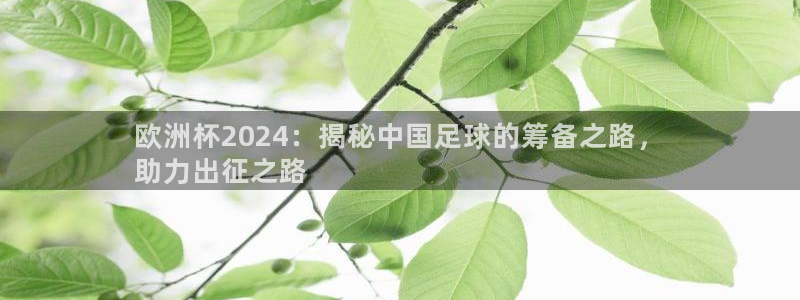 欧洲杯决赛彩票网上购买|欧洲杯2024：揭秘中国足球的筹备之路，
助力出征之路