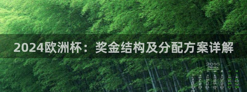 欧洲杯最新赛程|2024欧洲杯：奖金结构及分配方案详解