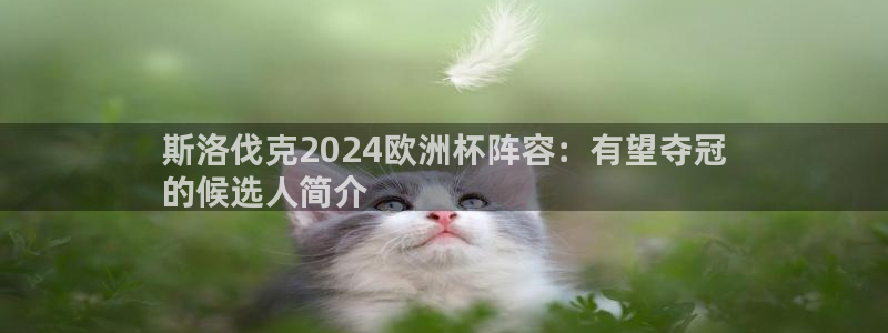 欧洲杯哪里买球靠谱|斯洛伐克2024欧洲杯阵容：有望夺冠
的候选人简介