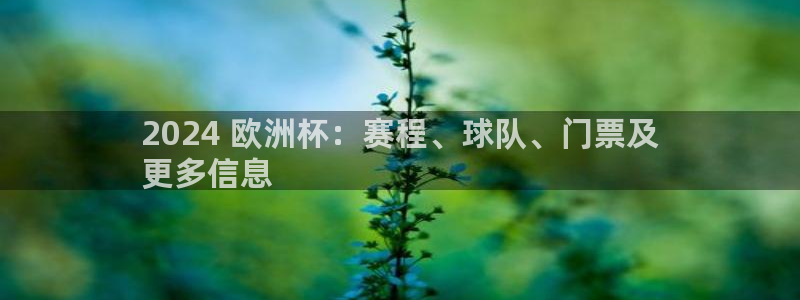 欧洲杯靠谱买球平台|2024 欧洲杯：赛程、球队、门票及
更多信息