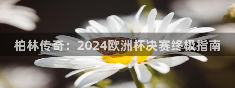 欧洲杯竞猜软件|柏林传奇：2024欧洲杯决赛终极指南